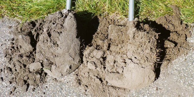 Links im Bild: So präsentiert sich die Gareprobe vom Grasland eines Güllebetriebes ohne Güllefermentierung. Rechts die Probe eines Nachbarbetriebs mit Güllefermentierung.(Bild zVg)