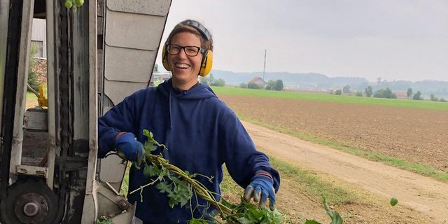 Redaktorin Esther Thalmann wollte wieder einmal Hopfen ernten. (Bild Emil Keller)
