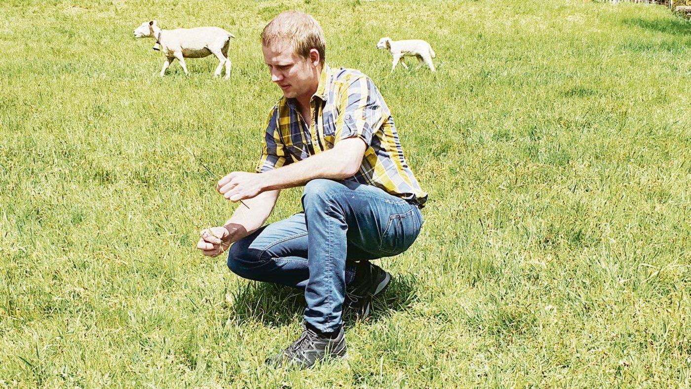 Wiesen und Weiden bilden die Grundlagen für das Einkommen der Bauernfamilien im Kanton St. Gallen und im Appenzellerland», sagt Matthias Kern.(Bild zVg)