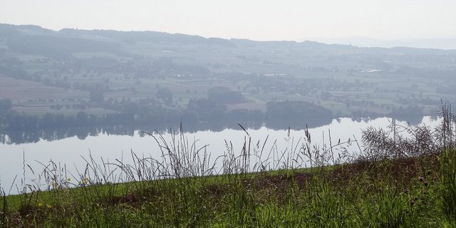 Der Luzerner Regierungsrat will weniger Phosphor im Baldeggersee (Bild), Hallwilersee und Sempachersee. Mit den verordneten Massnahmen sind nicht alle Betroffenen einverstanden.(Bild BauZ)
