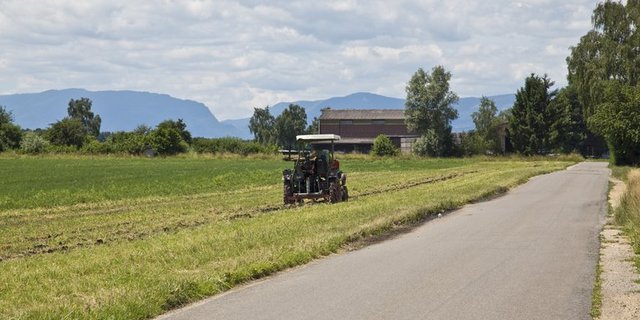Die Betriebe, anhand denen Agroscope das landwirtschaftliche Einkommen berechnet, werden neu zufällig ausgewählt. (Bild ji)