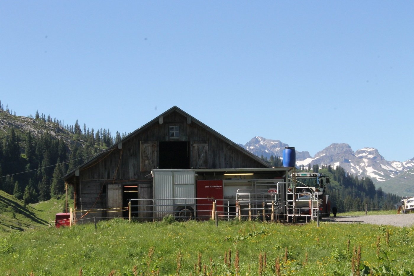 Der Melkroboter, derzeit auf dem Pragelpass, ist in einem Containerwagen untergebracht. (Bild reb) 