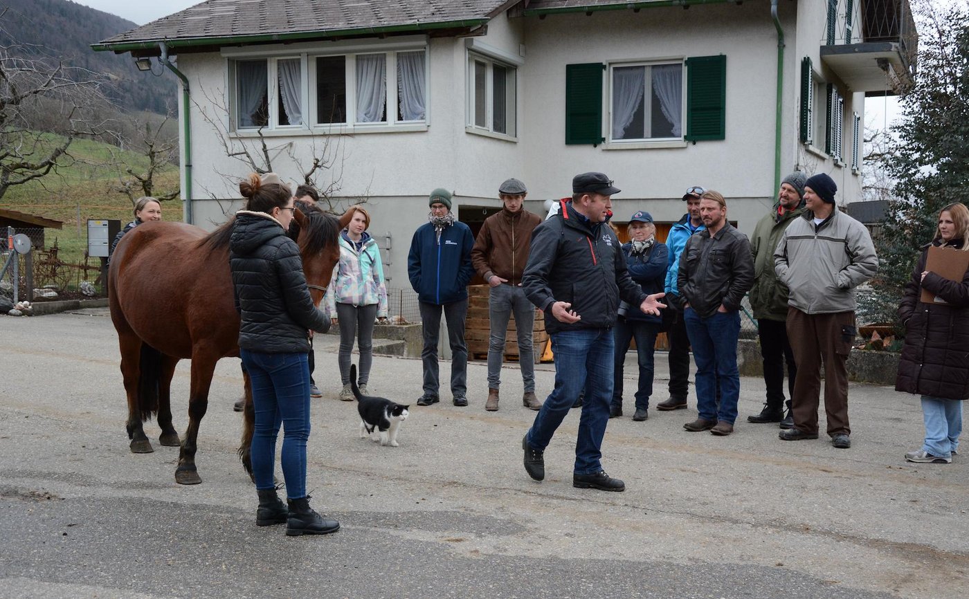 Tierarzt Beat Wampfler schult die RRFB-Richter. 