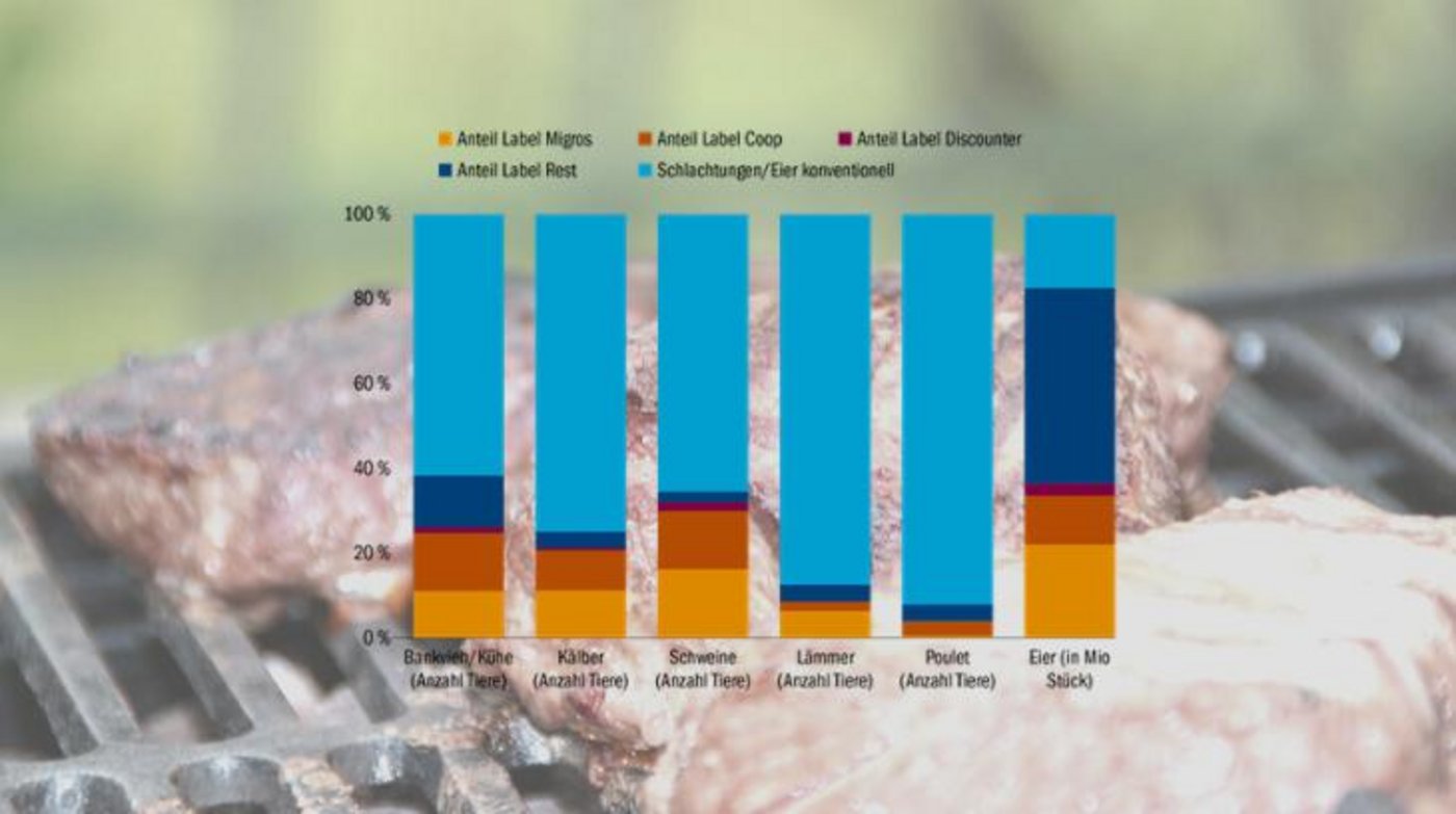 Übersicht über die Labelanteile bei Fleisch und Eiern bei den einzelnen Detailhändlern in Prozent am Total.  (Quelle STS mit Zahlen von BLW und SBV und aus eigenen Umfragen, Grafik Matthieu Induni/BauZ)