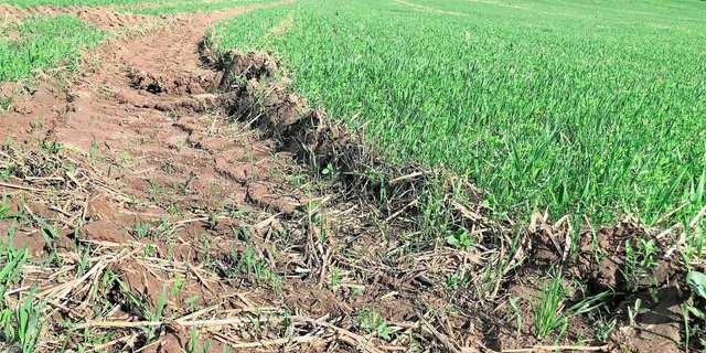 Der Klimawandel sei bereits allgegenwärtig und die Landwirt(innen) müssten in ihrer Anpassung unterstützt werden, so die Agrarallianz.