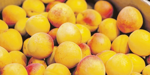 Mit 700 Hektaren Anbaufläche könne laut Schweizer Obstverband 97 Prozent der Schweizer Produktion abgedeckt werden. (Bild Pixabay)