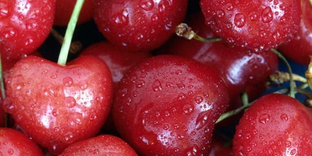 Die Preise für einige Obstsorten (Steinobst) sanken im Juni. (Bild BauZ)