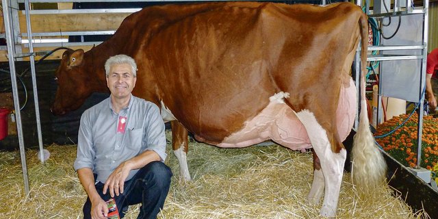 Im Jahr 2013 besuchte Richard Schmid die World Dairy Expo in Madison (USA). Hier mit der Ikone KHW Regiment Apple. Es sei eine eindrückliche Kuh gewesen.(Bild zVg)