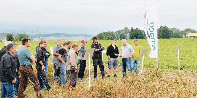 Adrian Sutter (2. v. r.), erklärt die Unterschiede zwischen den verschiedenen Krautvernichtungsverfahren.(Bilder Sebastian Hagenbuch)