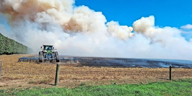Für Schweizer ein ungewohnter Anblick: Ist das Getreide gewonnen, werden die Flächen abgebrannt, damit später neu angesät werden kann. Das Ganze geschieht kontrolliert und geplant.  
