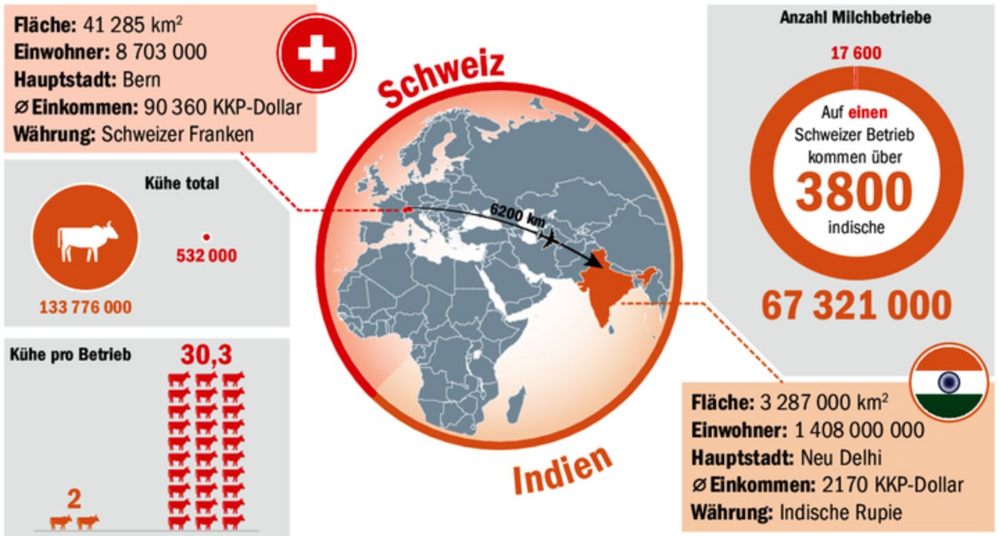 Indien ist der grösste Milchproduzent der Welt. Ein kleiner Vergleich mit der 6200 km entfernten Schweiz zeigt deutliche Unterschiede.