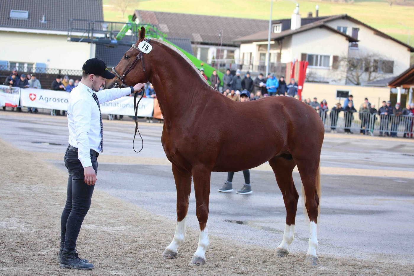 Cartoon du Padoc soll trotz Sieg in Glovelier, den Stationstest nicht zu Ende führen können. (Bild kr)