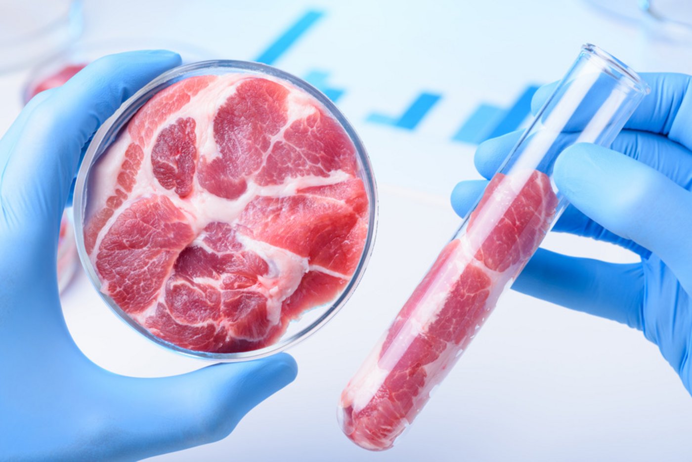 Das Fleisch aus dem Reagenzglas ist die grosse Hoffnung für die Zukunft. Bei der Produktion müssen aber auch die Energiequellen beachtet werden. (Bild fotolia)