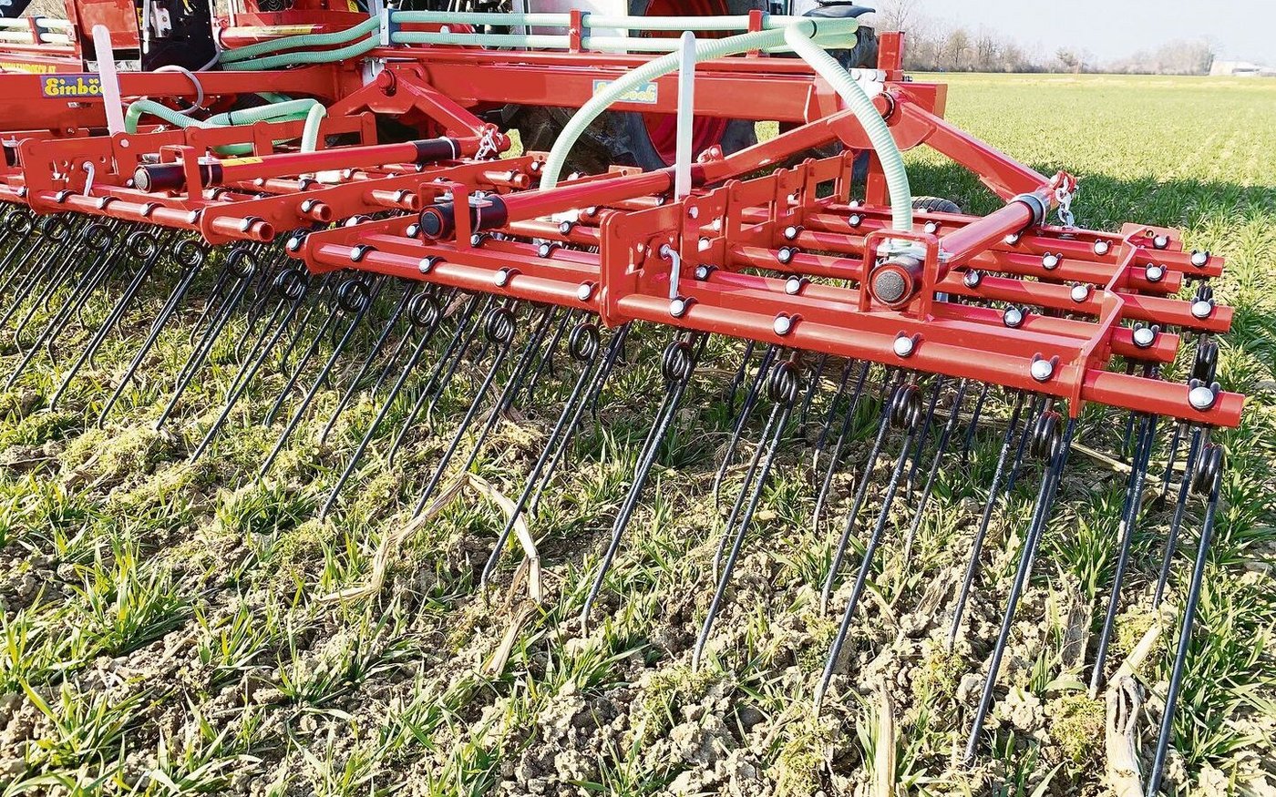 Je früher, desto vorsichtiger ist zu striegeln, je später, desto aggressiver.