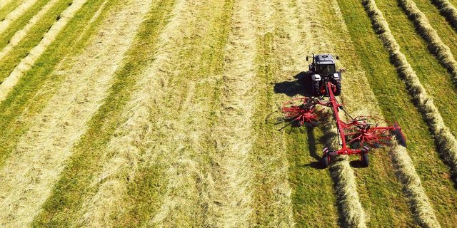 Es war eine spezielle Saison. Zuerst lange nass und kühl, dann trocken und heiss. Wie haben Sie das gemeistert?