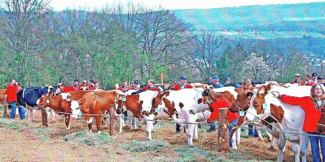 Das waren noch Zeiten: Ganze 20 Jahre ist es her, seit in Laufen die letzte Jubiläumsschau gefeiert wurde. 