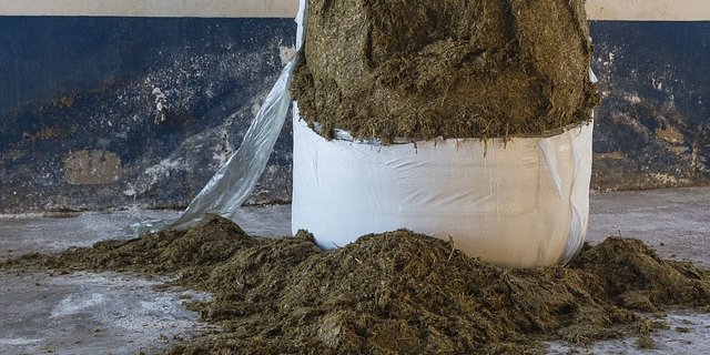 Gute Silage herzustellen ist eine Wissenschaft; Agridea gibt Empfehlungen. (Bild Pixabay)
