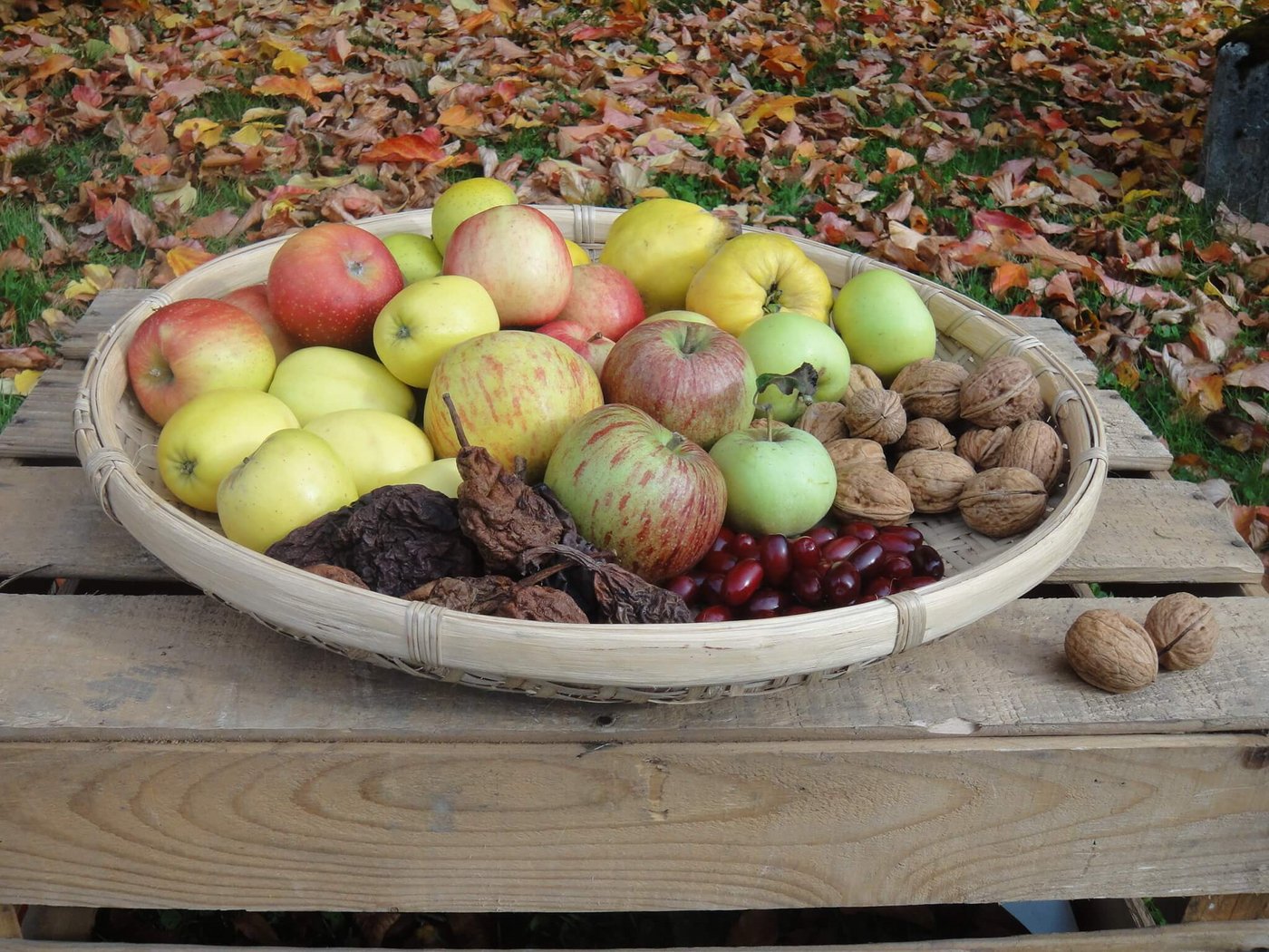 Am Obstsortenmarkt gibt es neben eher unbekanntem Obst auch diverse fruchtige Produkte zu kaufen. (Bild Botanischer Garten Zürich)