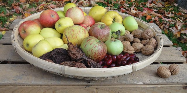 Am Obstsortenmarkt gibt es neben eher unbekanntem Obst auch diverse fruchtige Produkte zu kaufen. (Bild Botanischer Garten Zürich)