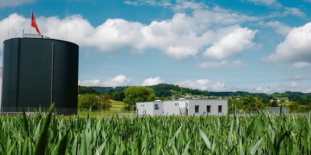 Der Stickstoff aus der Kläranlage könnte zum Beispiel im Getreide eingesetzt werden. (Bilder David Eppenberger)