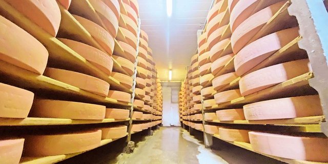 Die Käsereien geraten von zwei Seiten unter Druck: Im Ausland sparen die Konsument(innen) an den Premium-Produkten, im Inland steigt der politische Druck für höhere Milchpreise. 