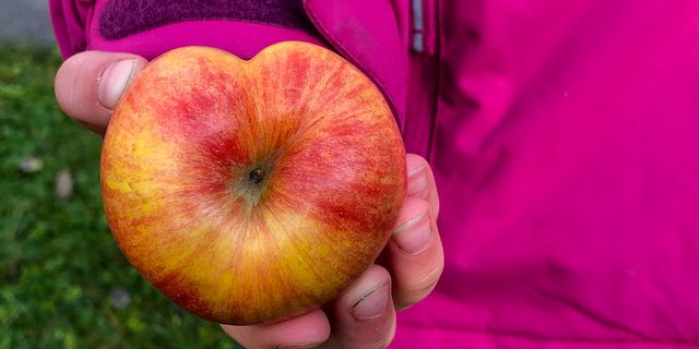Das Pilotprojekt in Arbon sei einzigartig und verspricht, Food Waste und Armut gleichzeitig zu verhindern. (Bild Olivia Menzi / Verein Mehr als Zwei) 