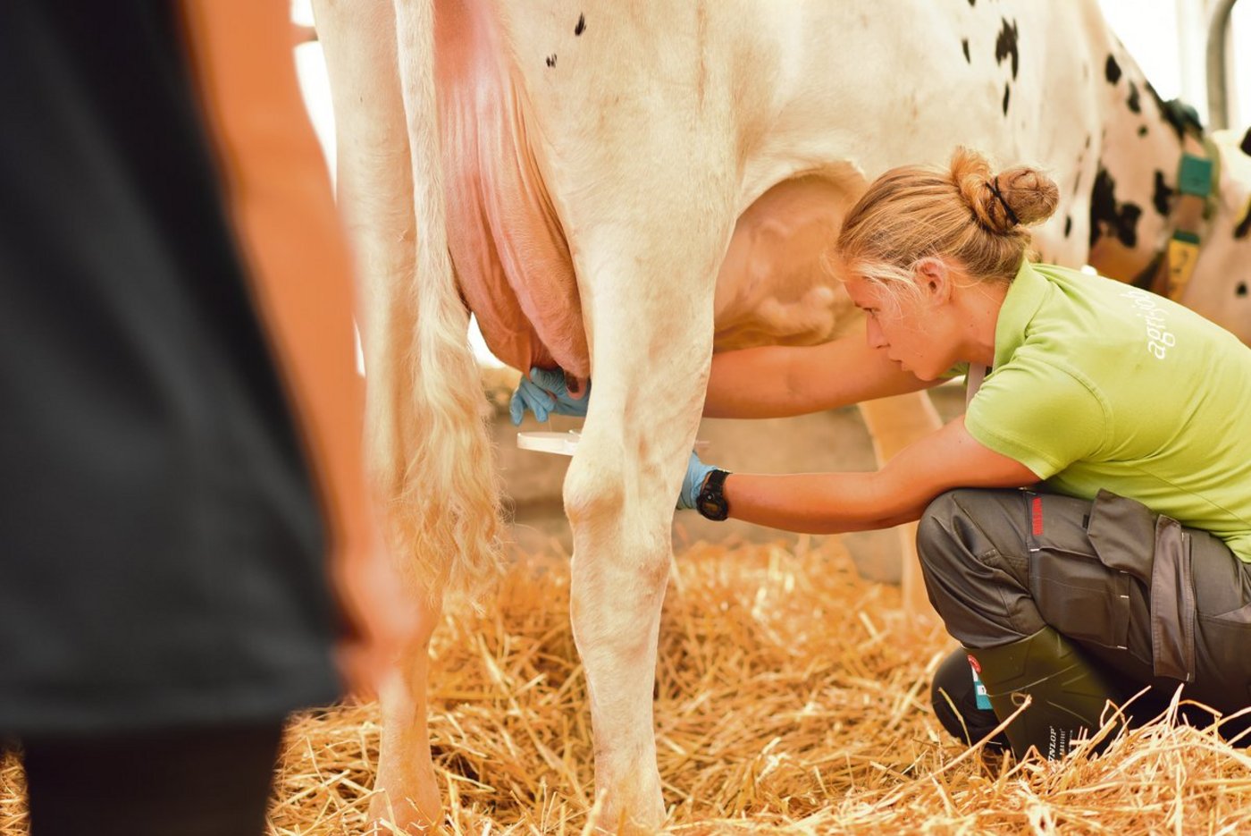 Damit Lernende zu fähigen Landwirten werden, brauchen sie ein gesundes Mass zwischen Anleitung und Verantwortung. (Symbolbild Schweizer Bauernverband)