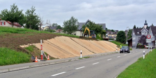 Die Holzwollevliese haben sich in verschiedenen Pilotprojekten als Erosionsschutz bewährt. (Bild: zvg)