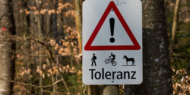 Um Konflikte zu verhindern, sollen Waldbsucher den Wald-Knigge beachten und respektvoll mit der Natur umgehen. (Bild pixabay)