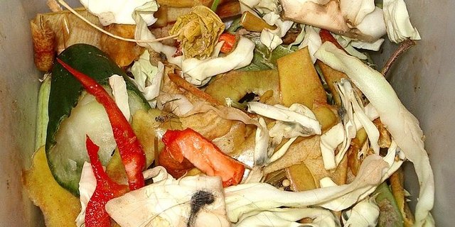 Lebensmittelverschwendung verursacht Kosten in der Höhe von etwa 4 Prozent des globalen Bruttosozialprodukts, so das Forschungsinstitut für biologischen Landbau (FiBL). (Bild: Muu-Karhu)