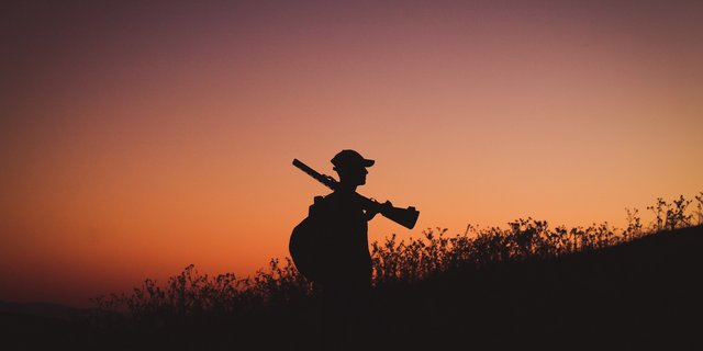 Der Schweizer Bauernverband will keine schnelle und umfassende neue Revision des Jagdgesetzes, denn damit wollten die  Umweltverbänden nur ihr Eigengoal korrigieren, so der SBV. (Bild Pixabay)