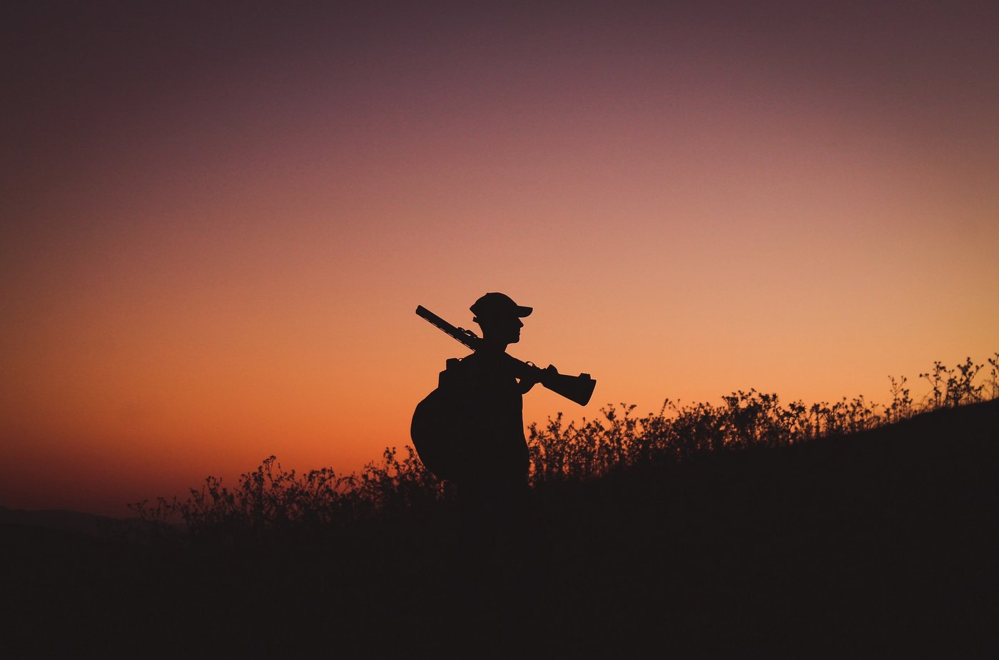 Der Schweizer Bauernverband will keine schnelle und umfassende neue Revision des Jagdgesetzes, denn damit wollten die  Umweltverbänden nur ihr Eigengoal korrigieren, so der SBV. (Bild Pixabay)