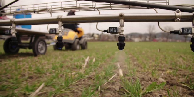 Sobald Blacken im Feld durch die Drohne erkannt wurden, sendet die Drohne über das 5G-Netz die Koordinaten an einen Feldroboter. Dieser behandelt das Unkraut punktuell via Spotspraying umweltschonend und effizient. (Bild Fenaco)
