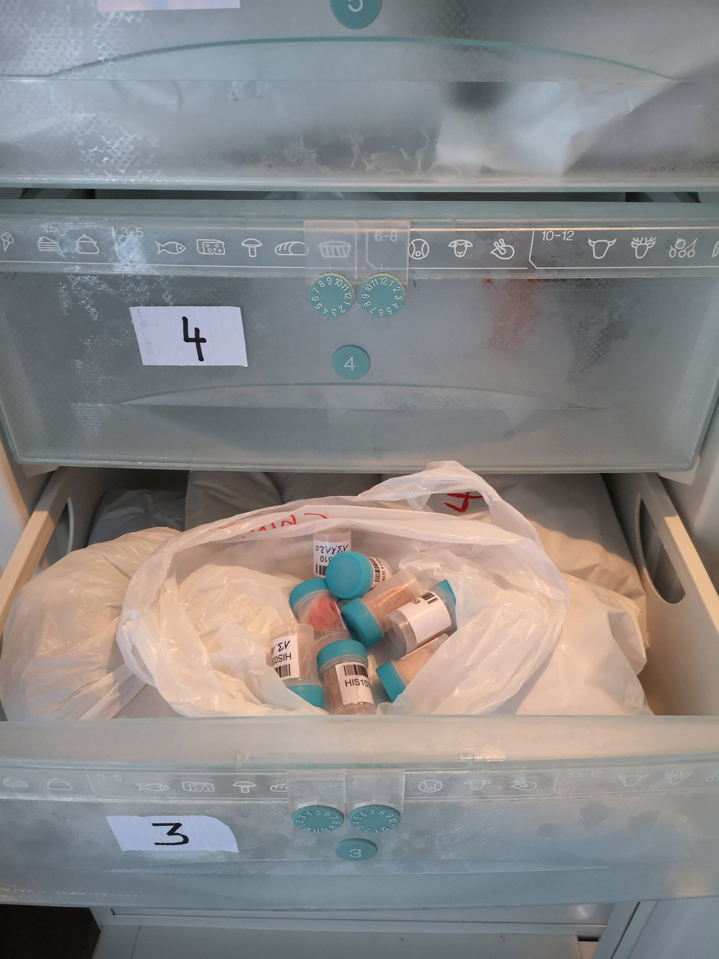 Für das Teilprojekt Genomik wurden bereits fleissig Proben gesammelt. (Bild Suisag)