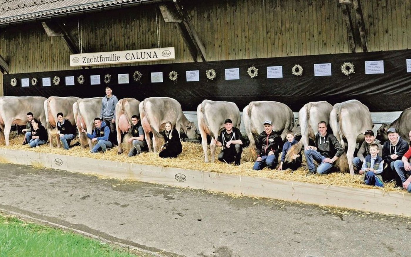 Elf sehr exakte Nachkommen aus einer Kuh: Das Höchstresultat aller weiblichen Zuchtfamilien beim Brown Swiss erreichte mit 93 Punkten Caluna SG von GoldHill Genetics in Romoos LU.