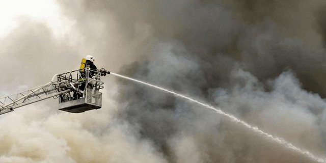 Trotz Grosseinsatz, kam für 2000 Schweine die Hilfe zu spät. (Bild zVg)