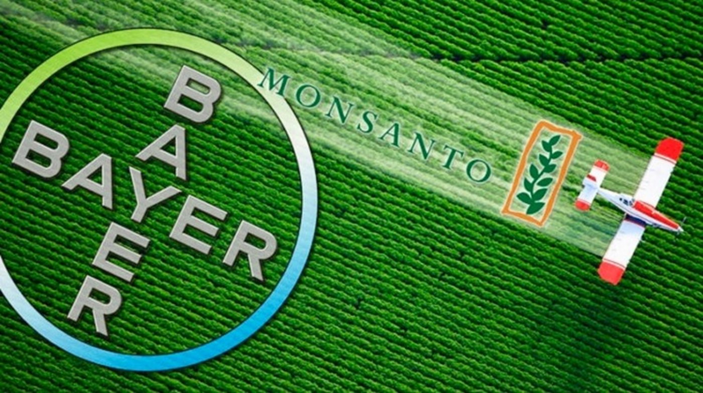 Die Leverkusener hatten den umstrittenen US-Saatguthersteller Monsanto im vergangenen Jahr für 63 Milliarden US-Dollar übernommen. (Bild Bayer)