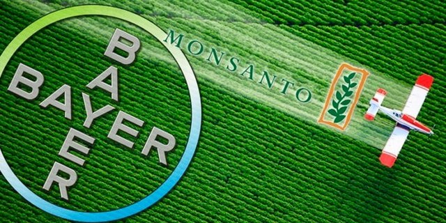 Die Leverkusener hatten den umstrittenen US-Saatguthersteller Monsanto im vergangenen Jahr für 63 Milliarden US-Dollar übernommen. (Bild Bayer)