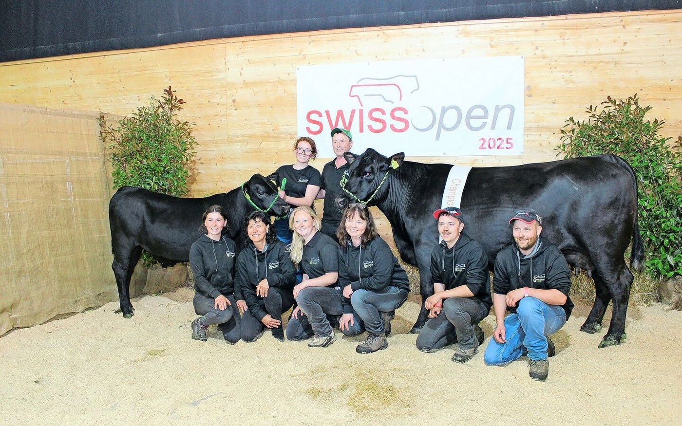 Michel und Rahel Fäh aus Ballens VD stellten mit der Kuh Green Valley Cosy die Champion der Rasse Angus. 