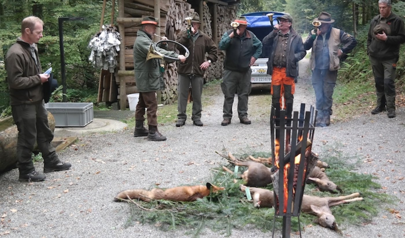 Laut den Initianten soll es schon bald solche Bilder im Kanton Zürich nicht mehr geben. Auf dem Bild Milizjäger im Kanton Luzern. (Bild Josef Kottmann)