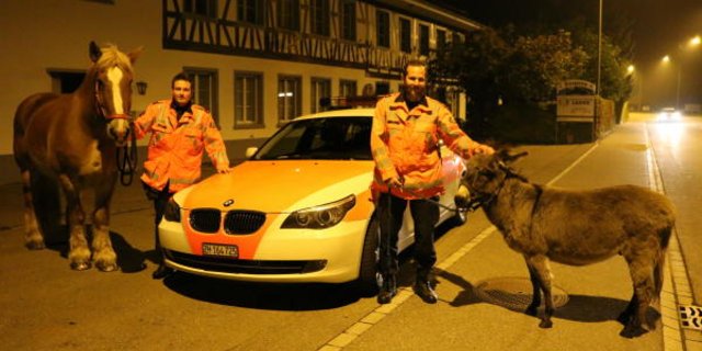 Dieses Foto postete die Kapo ZH am Samstag auf Facebook. (Bild Kapo ZH)