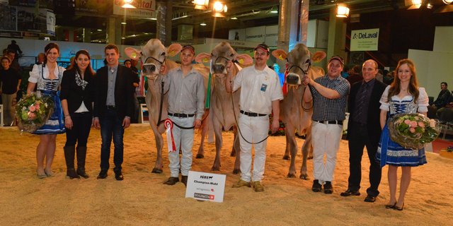 Vizechampionne und Championne Euter alt: Jongleur Soraya, Matthias und Markus Süess, Andwil. Championne und Vizechampionne Euter alt: Jongleur Elisa, Adrian Arpagaus, Falera. Ehrenerwähnung: Zinsli’s Jongleur Wachtel, Martin Zinsli, Thalkirch. (Bild IGBS)