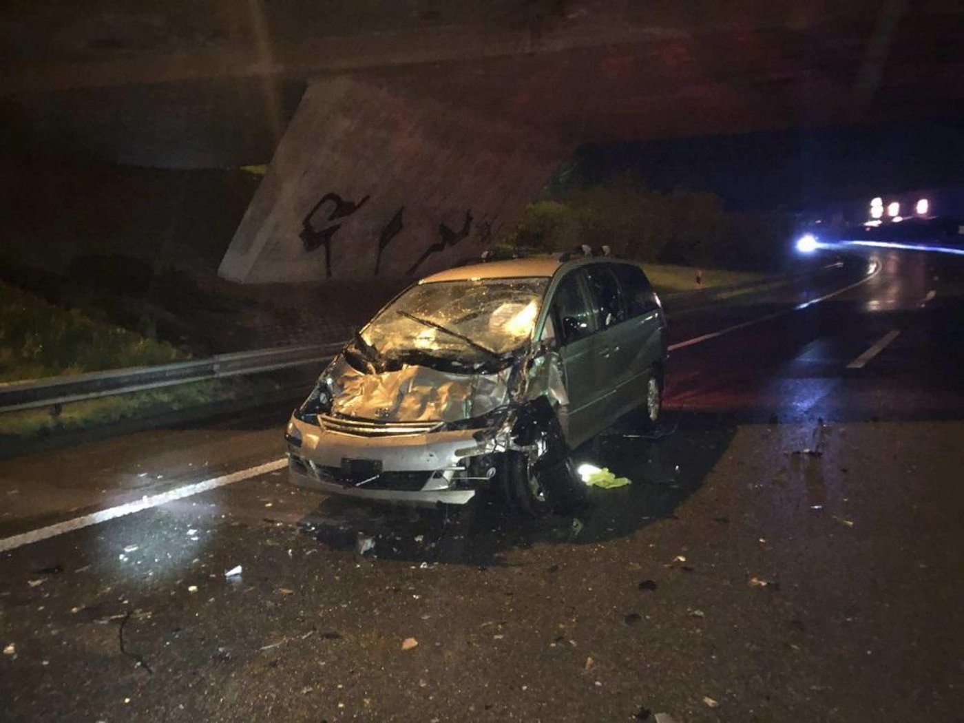 Verkehrsunfall mit einer Kuhherde auf der A12 in Matran. (Bild Staat Freiburg)