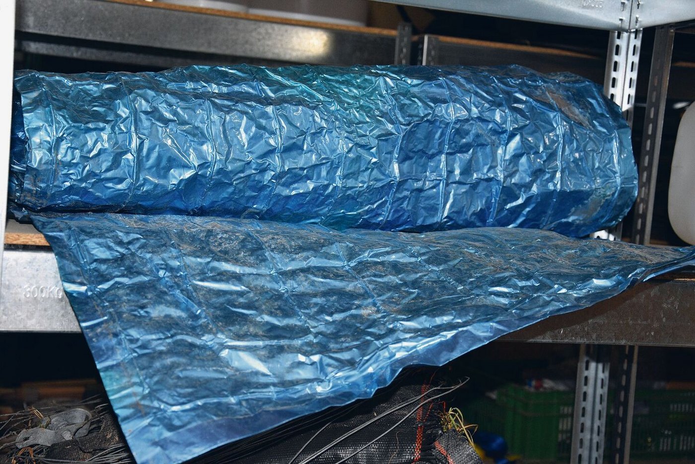 Auf der blauen Heizmatte können Setzlinge angezogen werden. Damit hat Benjamin Lang auch schon bei einer anderen Solawi gearbeitet.