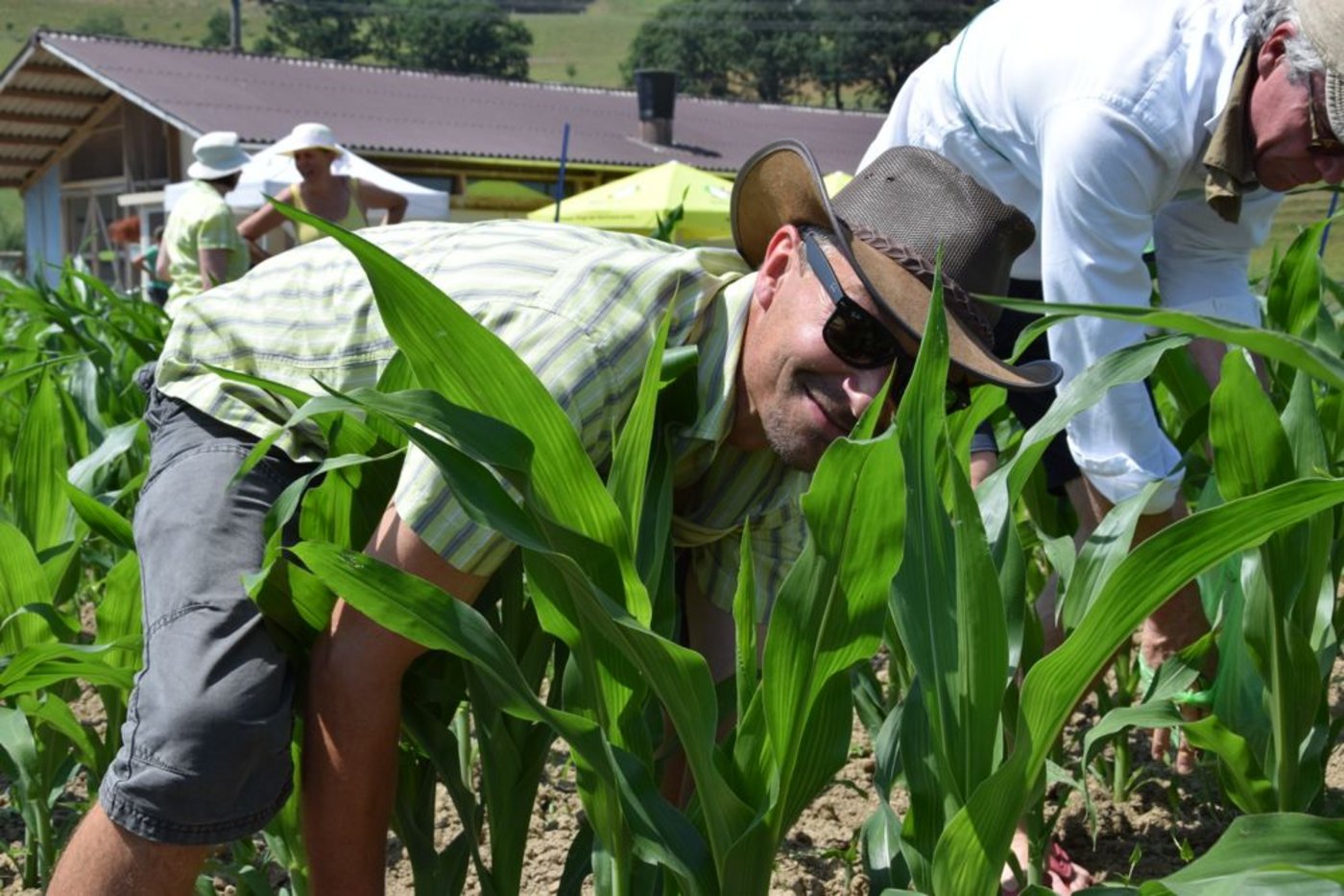 Bio-Suisse-Präsident Urs Brändli jätete ebenfalls mit. (Bilder Jeanne Woodtli)