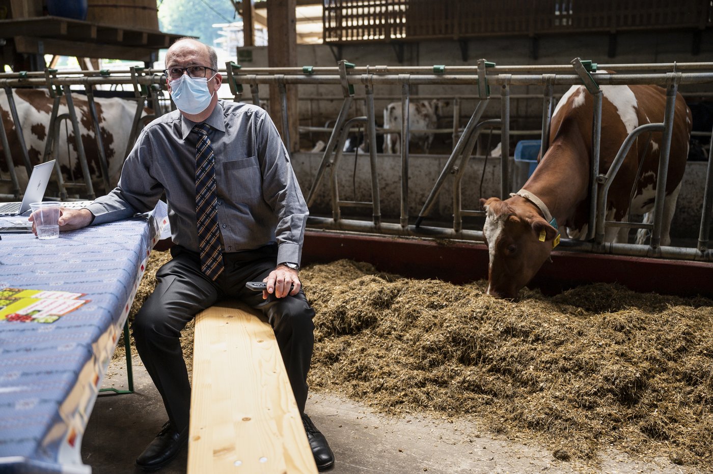 Da war die Anspannung noch gross: Nationalrat und SBV-Präsident Markus Ritterverfolgt die ersten Resultate der Agrarinitiativen am Sonntag in Oberbottigen bei Bern. (Bild Keystone/Alessandro della Valle)