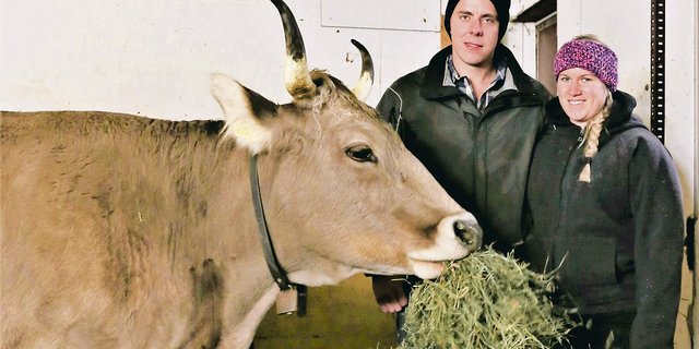 Die Mutterkühe von Mirjam und Roman Hürlimann fressen ausschliesslich betriebseigenes Raufutter. (Bilder Reto Betschart)