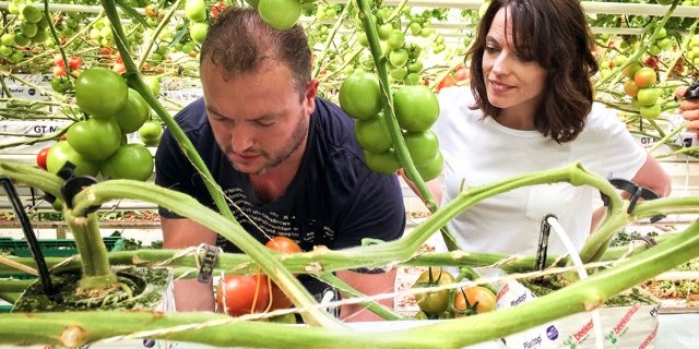 Mona Vetsch mit dem Gewächshausvorarbeiter Manuel De Sousa im Tomatengewächshaus. (Bilder SRF)