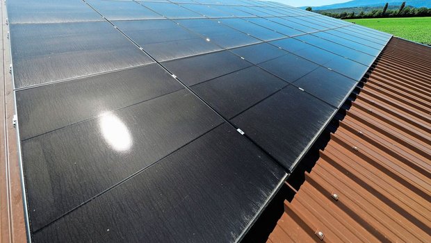 Gerade wenn alles gut läuft mit der Photovoltaik-Anlage, sollte man die möglichen Schäden im Auge behalten.