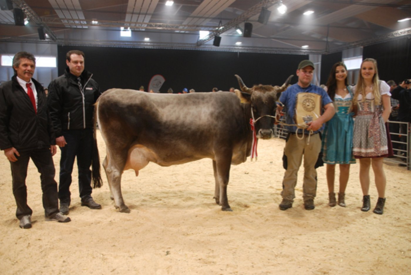 Miss Milchkuh wurde Dinmark Tamara, Heinz Gantenbein, Grabserberg. (Bilder Vrena Crameri)